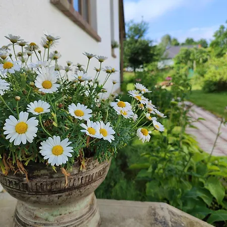 Chalet Egyszervolt Házikó