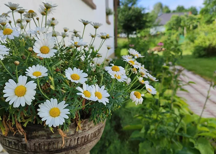 Alpstuga Egyszervolt Haziko